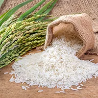 Hydrolyzed Rice Bran Extract