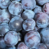 Prune Fruit Extract
