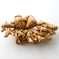 White Tumeric Extract botanicals